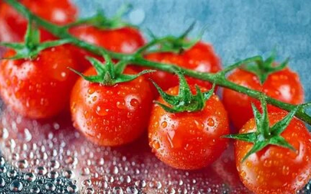 Как получить хороший урожай помидоров.